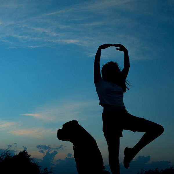 Chinas Plastic Machinery