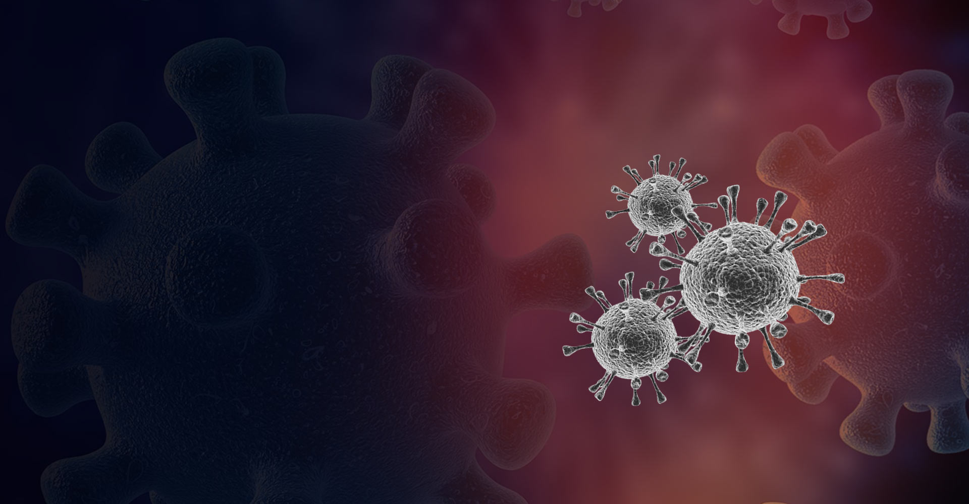 International Pandemic